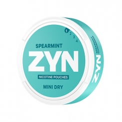 ZYN Spearmint Mini Dry Portion
