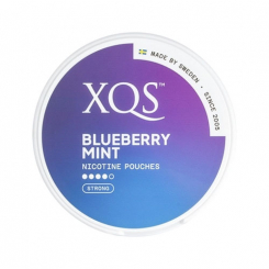 XQS Blueberry Mint Slim Strong