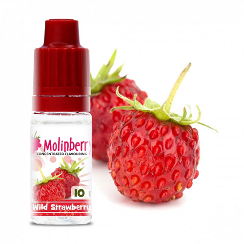 Wild Strawberry - MolinBerry